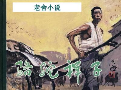 狐狸视频永久跳转接口